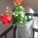 Amadrian * شيبينيك