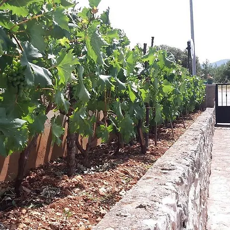 Amadrian Apartamento *