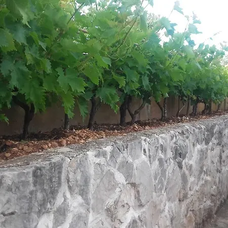 Amadrian Appartement *