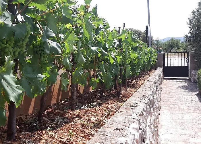 Amadrian Appartement *