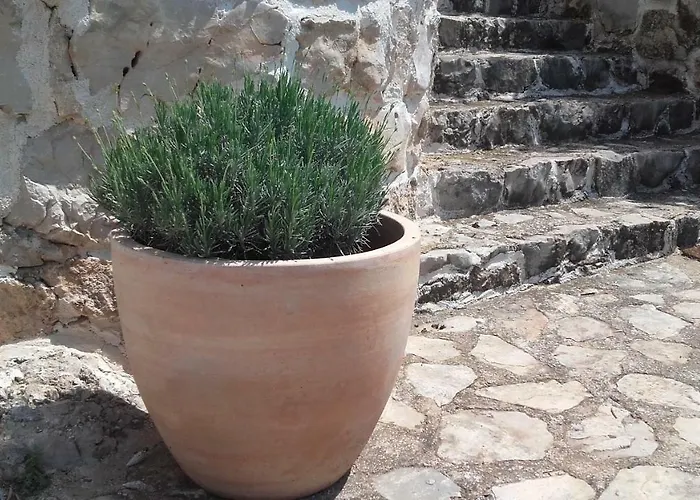 Apartman Amadrian Apartments