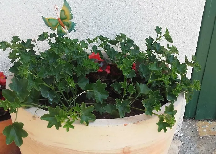 Apartman Amadrian Apartments Sibenik